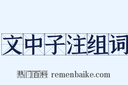 文中子注组词是什么意思的图片